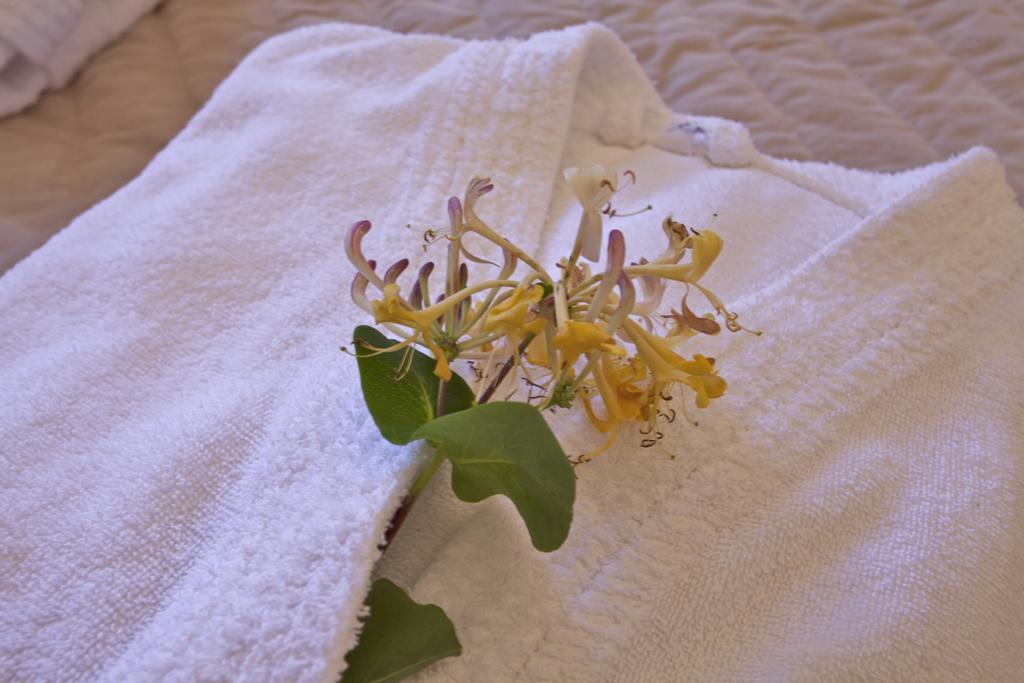 Mare E Monti - Hotel De Charme Feliceto Eksteriør bilde